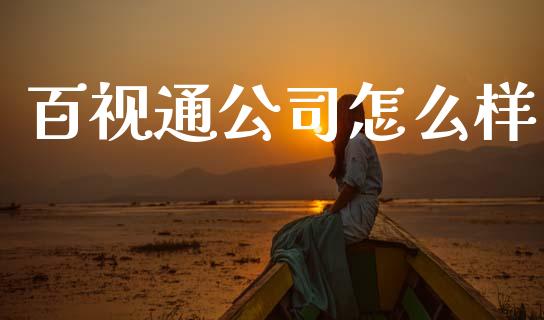 百视通公司怎么样_https://cj002.lansai.wang_财经百问_第1张