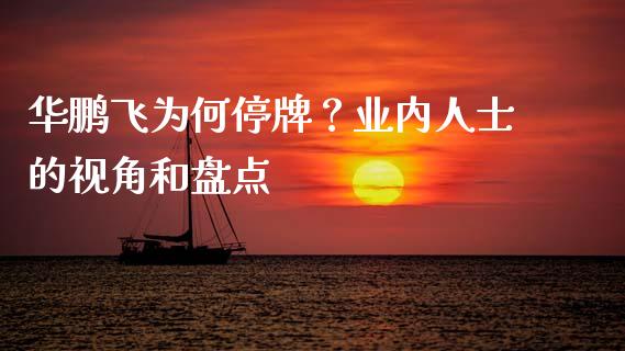 华鹏飞为何停牌？业内人士的视角和盘点_https://cj002.lansai.wang_保险问答_第1张