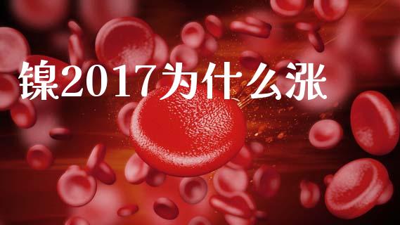 镍2017为什么涨_https://cj002.lansai.wang_理财问答_第1张