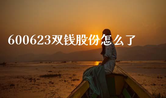 600623双钱股份怎么了_https://cj002.lansai.wang_金融问答_第1张