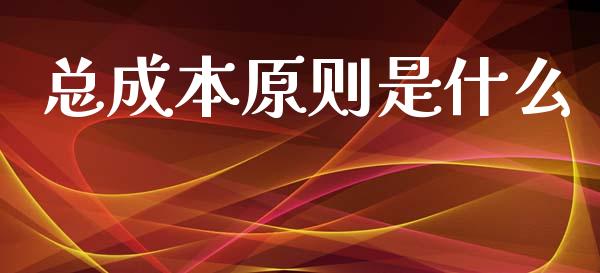 总成本原则是什么_https://cj002.lansai.wang_会计问答_第1张