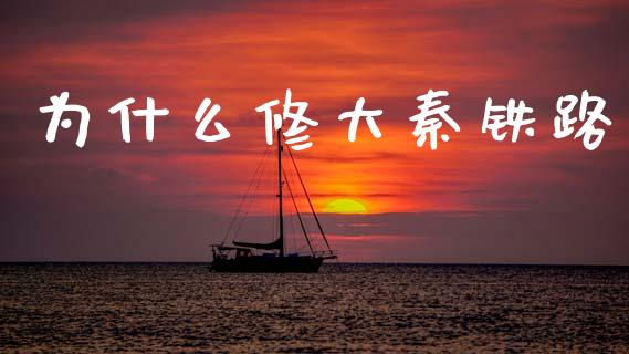 为什么修大秦铁路_https://cj002.lansai.wang_股市问答_第1张