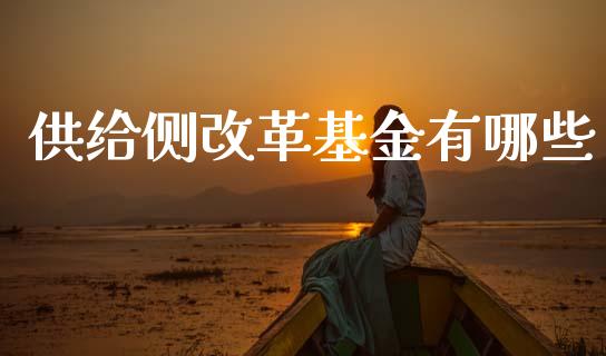 供给侧改革基金有哪些_https://cj002.lansai.wang_财经问答_第1张