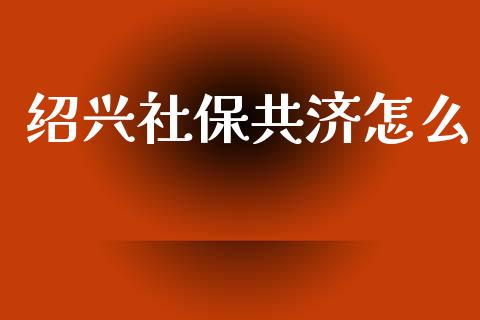 绍兴社保共济怎么_https://cj002.lansai.wang_保险问答_第1张