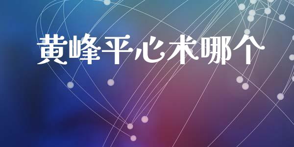 黄峰平心术哪个_https://cj002.lansai.wang_理财问答_第1张