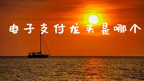 电子支付龙头是哪个_https://cj002.lansai.wang_财经百问_第1张