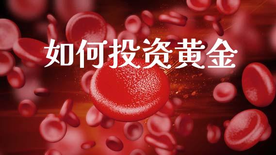 如何投资黄金_https://cj002.lansai.wang_财经问答_第1张