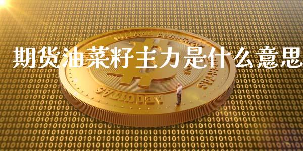 期货油菜籽主力是什么意思_https://cj002.lansai.wang_理财问答_第1张
