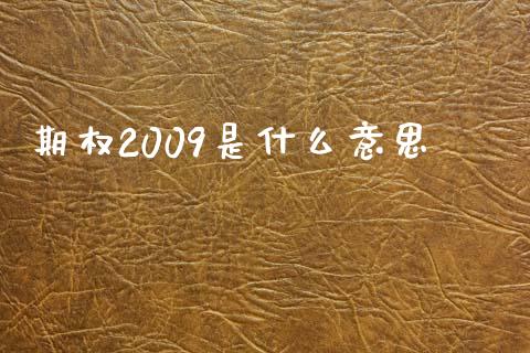 期权2009是什么意思_https://cj002.lansai.wang_期货问答_第1张