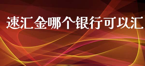 速汇金哪个银行可以汇_https://cj002.lansai.wang_理财问答_第1张