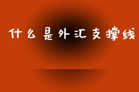 什么是外汇支撑线_https://cj002.lansai.wang_财经问答_第1张