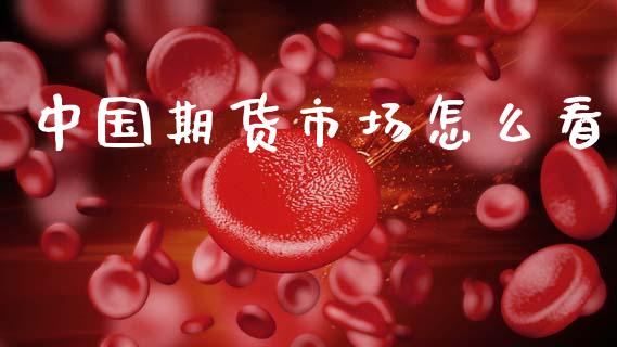 中国期货市场怎么看_https://cj002.lansai.wang_期货问答_第1张