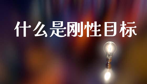 什么是刚性目标_https://cj002.lansai.wang_期货问答_第1张