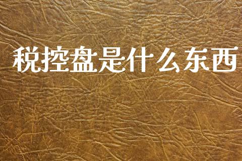 税控盘是什么东西_https://cj002.lansai.wang_会计问答_第1张