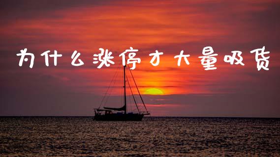 为什么涨停才大量吸货_https://cj002.lansai.wang_期货问答_第1张