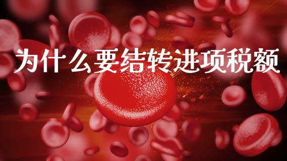 为什么要结转进项税额_https://cj002.lansai.wang_会计问答_第1张
