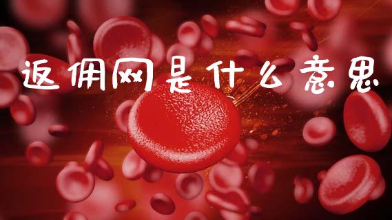 返佣网是什么意思_https://cj002.lansai.wang_财经百问_第1张