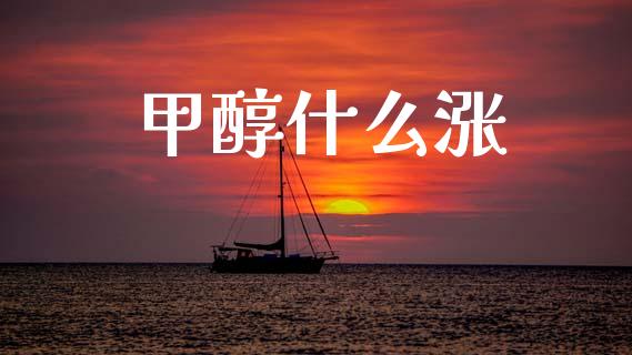 甲醇什么涨_https://cj002.lansai.wang_期货问答_第1张