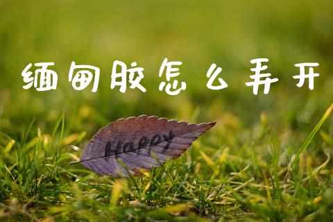 缅甸胶怎么弄开_https://cj002.lansai.wang_期货问答_第1张