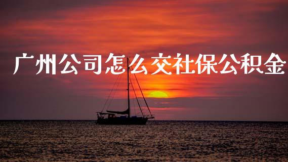 广州公司怎么交社保公积金_https://cj002.lansai.wang_保险问答_第1张