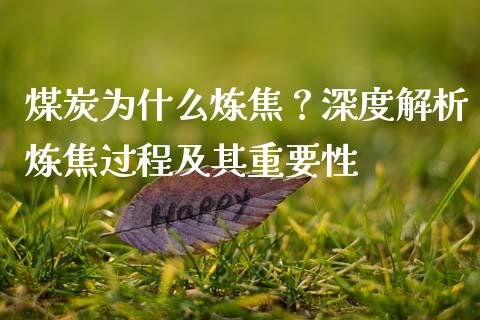 煤炭为什么炼焦？深度解析炼焦过程及其重要性_https://cj002.lansai.wang_保险问答_第1张