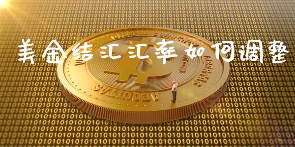 美金结汇汇率如何调整_https://cj002.lansai.wang_股市问答_第1张