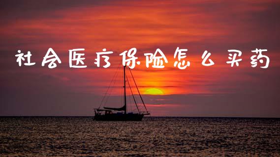 社会医疗保险怎么买药_https://cj002.lansai.wang_保险问答_第1张