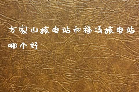 方家山核电站和福清核电站哪个好_https://cj002.lansai.wang_期货问答_第1张