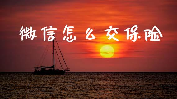 微信怎么交保险_https://cj002.lansai.wang_保险问答_第1张