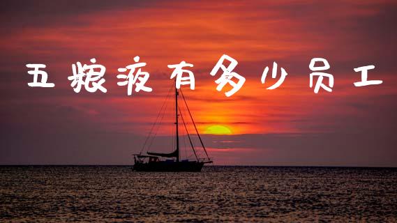 五粮液有多少员工_https://cj002.lansai.wang_保险问答_第1张