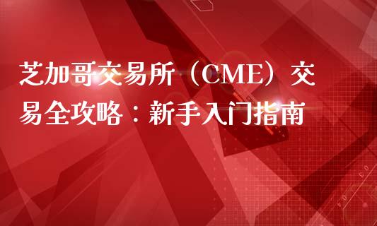芝加哥交易所（CME）交易全攻略：新手入门指南_https://cj002.lansai.wang_财经百问_第1张