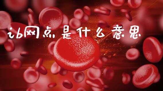 ib网点是什么意思_https://cj002.lansai.wang_期货问答_第1张