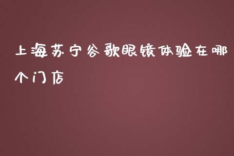 上海苏宁谷歌眼镜体验在哪个门店_https://cj002.lansai.wang_财经百问_第1张
