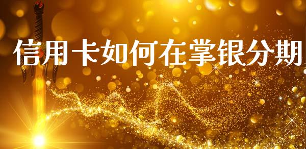 信用卡如何在掌银分期_https://cj002.lansai.wang_理财问答_第1张