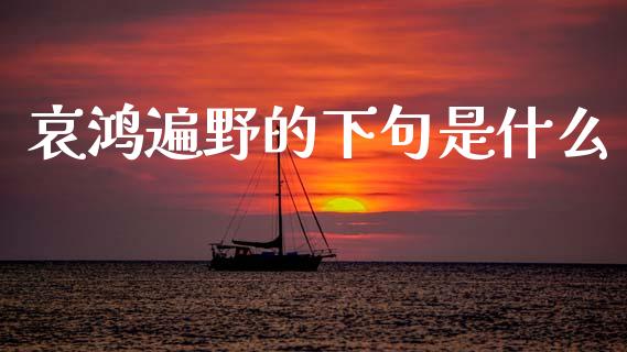 哀鸿遍野的下句是什么_https://cj002.lansai.wang_财经百问_第1张