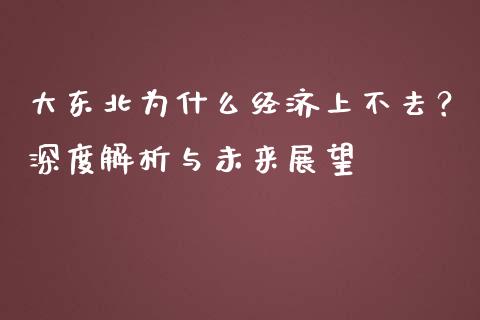 大东北为什么经济上不去？深度解析与未来展望_https://cj002.lansai.wang_保险问答_第1张