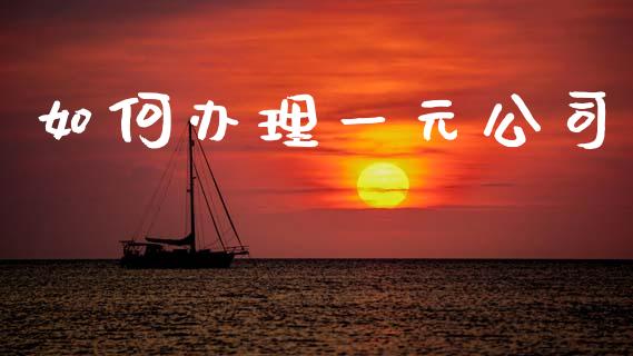 如何办理一元公司_https://cj002.lansai.wang_财经百问_第1张
