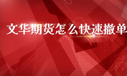 文华期货怎么快速撤单_https://cj002.lansai.wang_财经问答_第1张
