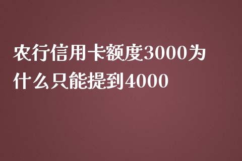农行信用卡额度3000为什么只能提到4000_https://cj002.lansai.wang_理财问答_第1张