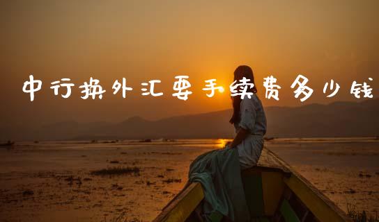 中行换外汇要手续费多少钱_https://cj002.lansai.wang_财经问答_第1张