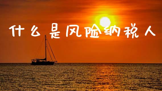 什么是风险纳税人_https://cj002.lansai.wang_会计问答_第1张