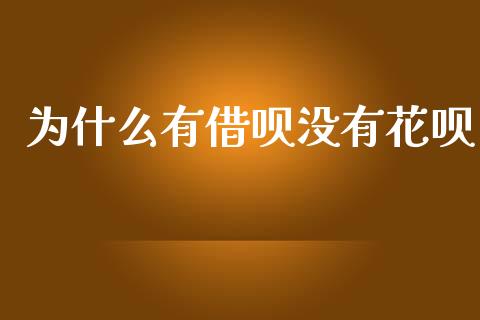为什么有借呗没有花呗_https://cj002.lansai.wang_理财问答_第1张
