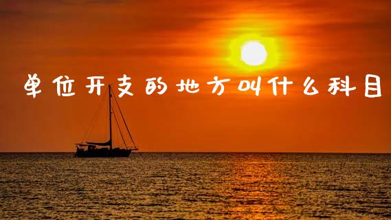 单位开支的地方叫什么科目_https://cj002.lansai.wang_会计问答_第1张