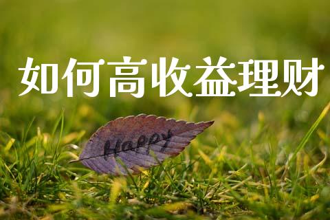 如何高收益理财_https://cj002.lansai.wang_财经问答_第1张