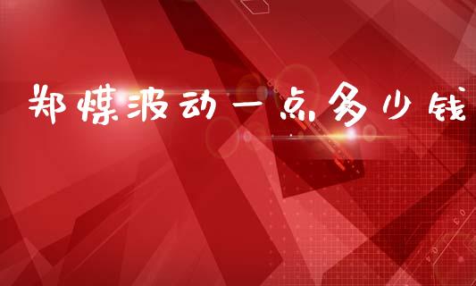 郑煤波动一点多少钱_https://cj002.lansai.wang_期货问答_第1张