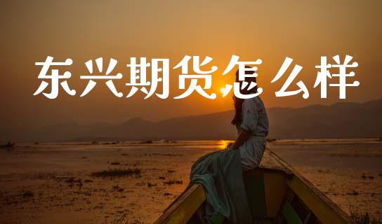 东兴期货怎么样_https://cj002.lansai.wang_财经问答_第1张