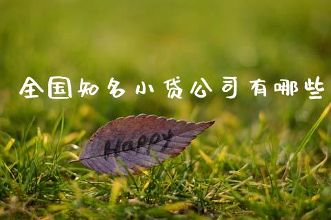 全国知名小贷公司有哪些_https://cj002.lansai.wang_理财问答_第1张