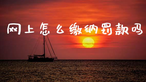 网上怎么缴纳罚款吗_https://cj002.lansai.wang_保险问答_第1张