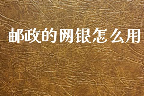 邮政的网银怎么用_https://cj002.lansai.wang_金融问答_第1张