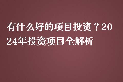 有什么好的项目投资？2024年投资项目全解析_https://cj002.lansai.wang_财经问答_第1张